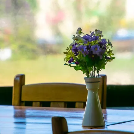 Pensiunea Mioara Două Mai