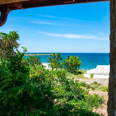 Pensiunea Mioara Maison d'hôtes Două Mai