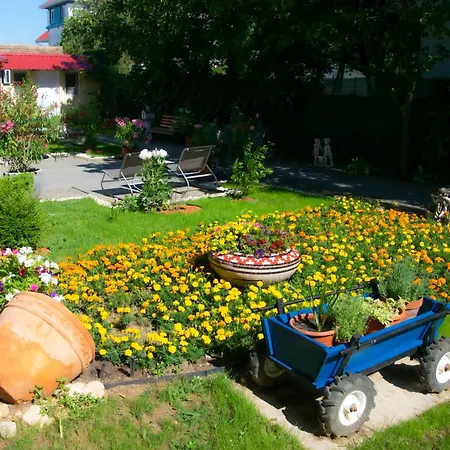 Pensiunea Mioara 4* Două Mai