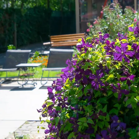 Pensiunea Mioara 게스트하우스