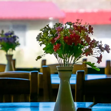 Pensiunea Mioara Guest house 4*