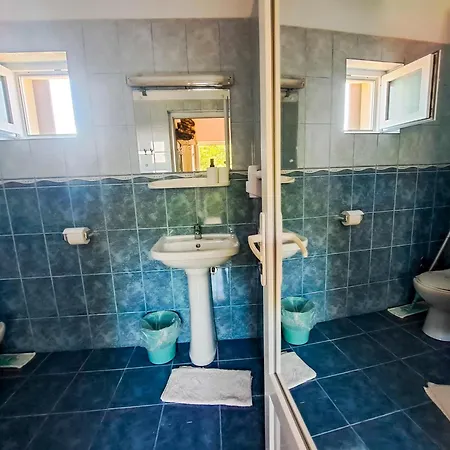 Pensiunea Mioara Guest house