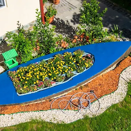 Guest house Pensiunea Mioara 2 Mai