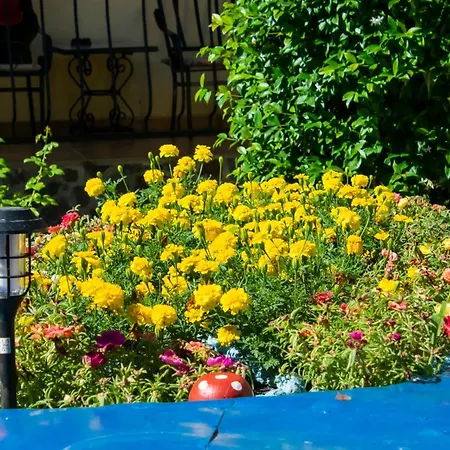 Pensiunea Mioara 4* Două Mai