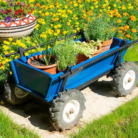 Pensiunea Mioara Guest house 4*